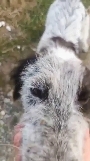 Butz - bist du bereit für ihn? Bild 8