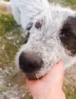 Butz - bist du bereit für ihn?