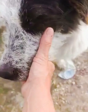 Butz - bist du bereit für ihn? Bild 6