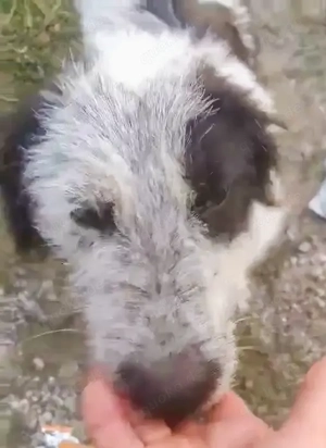 Butz - bist du bereit für ihn? Bild 3