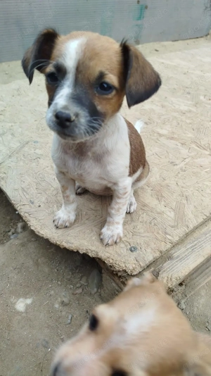 Mathilda - die fröhliche Seele 