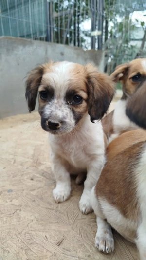 Maddy - die süße Entdeckerin