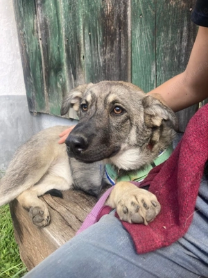 Hannah - wann kann ich zu dir kommen?