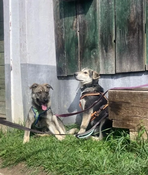 Hannah - darf ich dein Leben ein bischen bunter machen? Bild 2