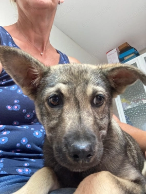 Hannah - darf ich dein Leben ein bischen bunter machen? Bild 4