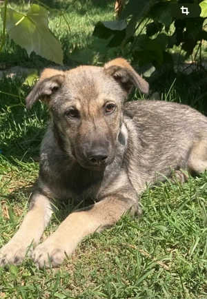 Hannah - darf ich dein Leben ein bischen bunter machen? Bild 3