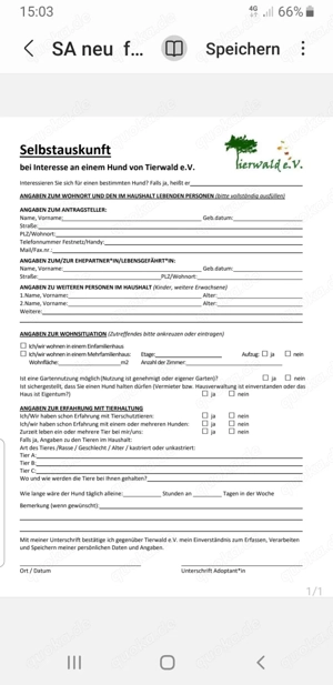 Baumpyton (Morelia Viridis)