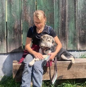 Junghund Fuchsi sucht liebevolles Zuhause! Bild 3