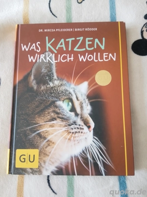 Buch über Katzen 