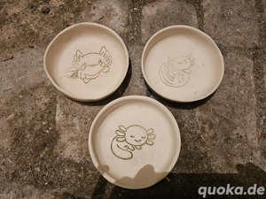 3 Futterschale mit Axolotl Motiv     Bild 3