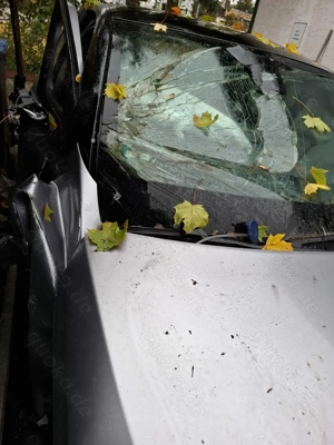 Corsa D BJ 2023 Totalschaden Bild 4