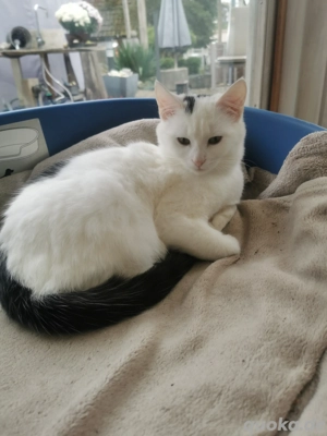 ZWEI Liebe Wonneproppen