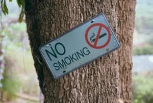 NEU Indianische Rauchsuchtauflösung ohne Suchtverlangen