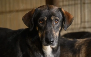 Friedl - Sensibel, liebevoll und bereit fürs Leben