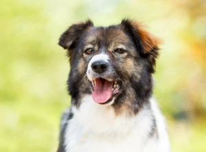 Margo   die charmante Einzelprinzessin sucht ihr Königreich Bild 3