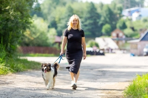 Margo   die charmante Einzelprinzessin sucht ihr Königreich Bild 7