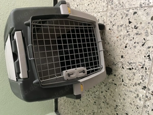 Hunde Box mit Rollen