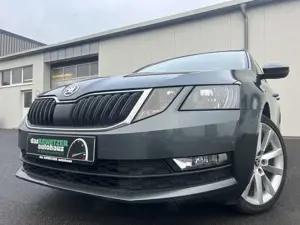 Skoda Octavia Combi 2.0 TDI DSG Ambition Tour 100€ m. 20% Anza