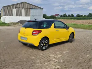 Citroen DS3 DS3 HDi 90 FAP (99g)SoChic Bild 3