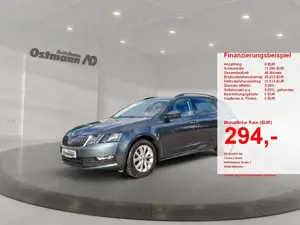 Skoda Octavia Combi 1.5 TSI ACT Tour AHK GRA el.Heck