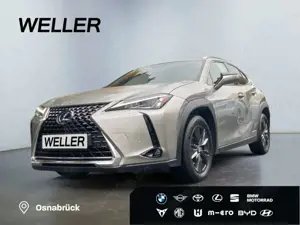 Lexus UX 250h Amazing Edition *Bi-LED*ACC*CAM*CarPlay*