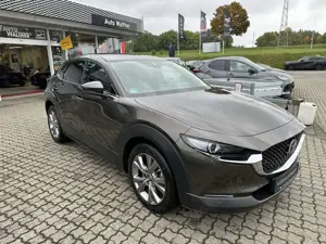 Mazda CX-30 L SKYACTIV-G 2.0 150PS M Hybrid 6GS AL-SELECTION A Bild 3