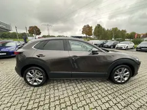 Mazda CX-30 L SKYACTIV-G 2.0 150PS M Hybrid 6GS AL-SELECTION A Bild 5