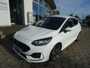 Ford Fiesta 1.0 Ecoboost ST-Line +Kamera+Winter-Paket