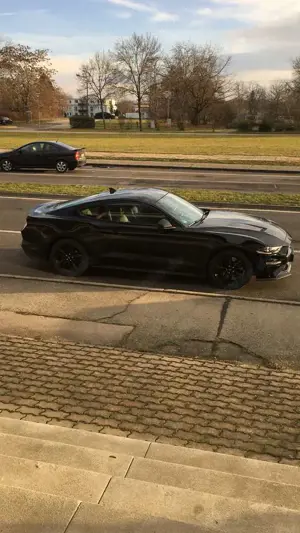 Ford Mustang Fastback 5.0 Ti-VCT V8 Aut. GT Bild 3 Ford Mustang Fastback 5.0 Ti-VCT V8 Aut. GT Bild 3