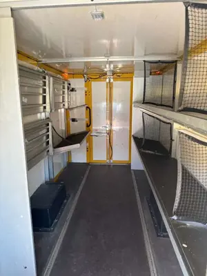 Iveco Daily 35 C 11 AGile Bild 5