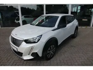 Peugeot 2008 (e-) Active Klima Mirror LED GjR GRA EPH