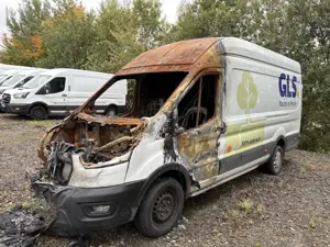 Ford Transit Kasten L4H3 Trend, Elektro