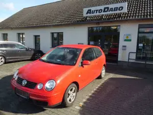 Volkswagen Polo IV Cricket