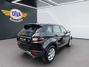 Land Rover Range Rover Evoque 2.0 Sd4 Pure Bild 2