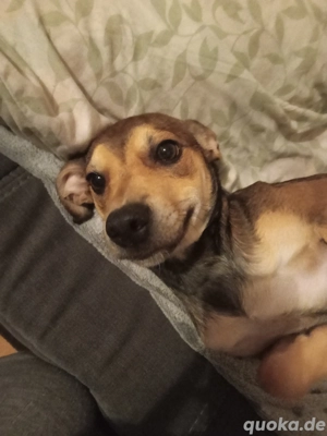 süsse sehr liebe Coco 