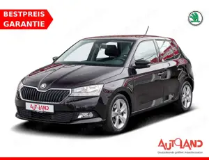 Skoda Fabia Bild 1