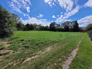 Wohnhaus mit Mühle, Wiese und Garagen Bild 9