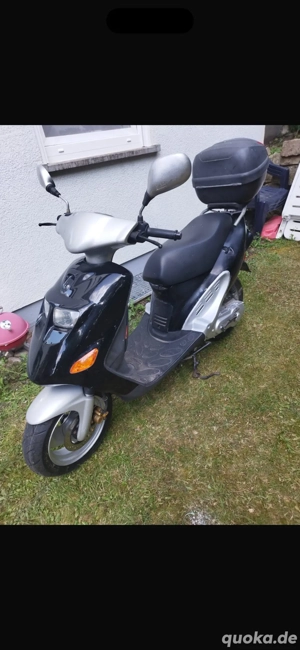 Kreidler Roller 25kmh zu verkaufen