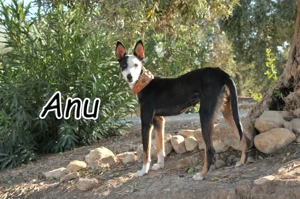 Möchtest du Anu die Welt zeigen und ihr Herz gewinnen?