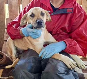 Alma - freundlich & sanft