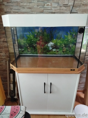 Aquarium mit Unterschrank 