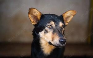 Bescheidene Luddu hofft auf eine bessere Zukunft