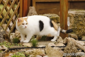 Charlotte sucht ihre Familie auf Lebenszeit 