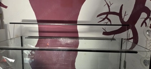 Aquarium Tageslichtlampe