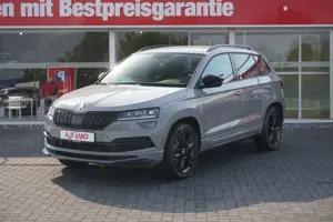 Skoda Karoq 2.0 TSI Sportline 4x4 LED PDC Winterpaket