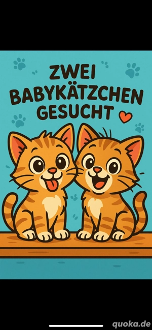 Fellnasen-Mitbewohner gesucht   