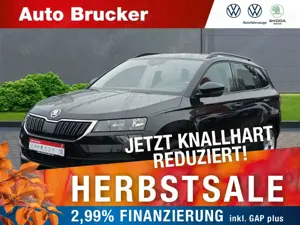 Skoda Karoq Ambition 4x4 2.0 TDI+Klimaautomatik+Alufelgen+DAB