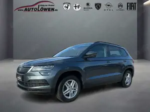 Skoda Karoq Allrad Rückfahrkamera