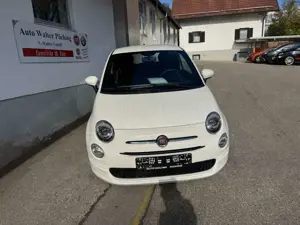 Fiat 500 1.0 Club, Klima, LED, Temp., Radio DAB, ApplCarp. Bild 2
