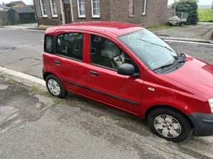 Fiat Panda Fiat Panda 2010 Bild 2